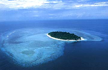 siapadan-malaysia-dive-site