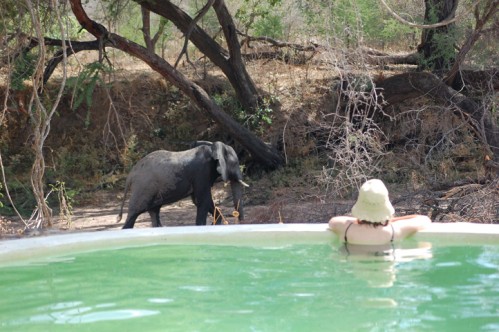 JONGOMERO SWIMMING EXPERIENCE