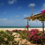 Parque das Dunas hotel in Cape Verde Parque das Dunas hotel in Cape Verde