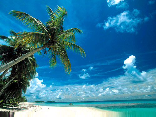 bikini atoll. Bikini Atoll